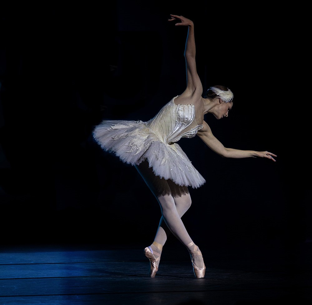 φωτογραφία